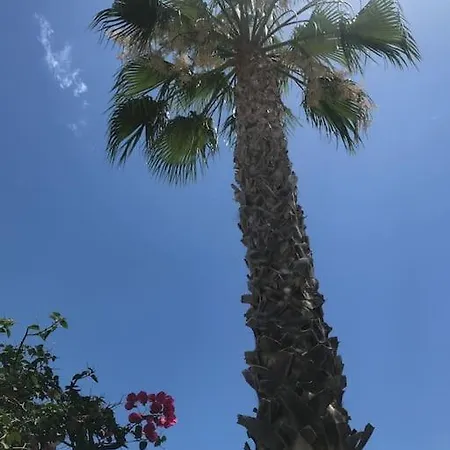Вилла Villa Marlene El Albir