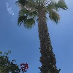 فيلة Villa Marlene El Albir